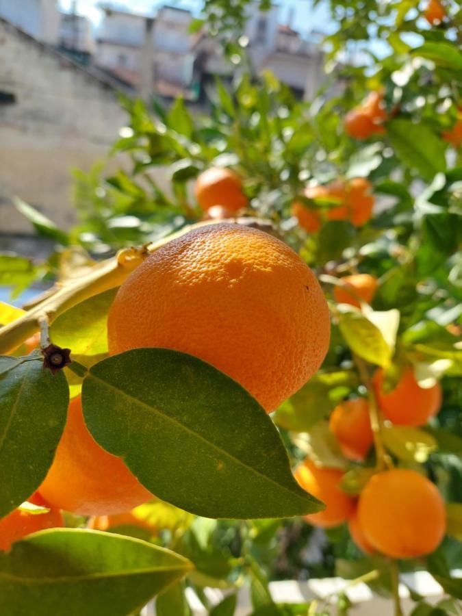 Orange Tree Apartment 아스프로발타 외부 사진